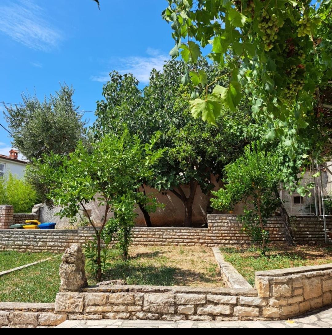 Villa Giulia Ližnjan Екстериор снимка
