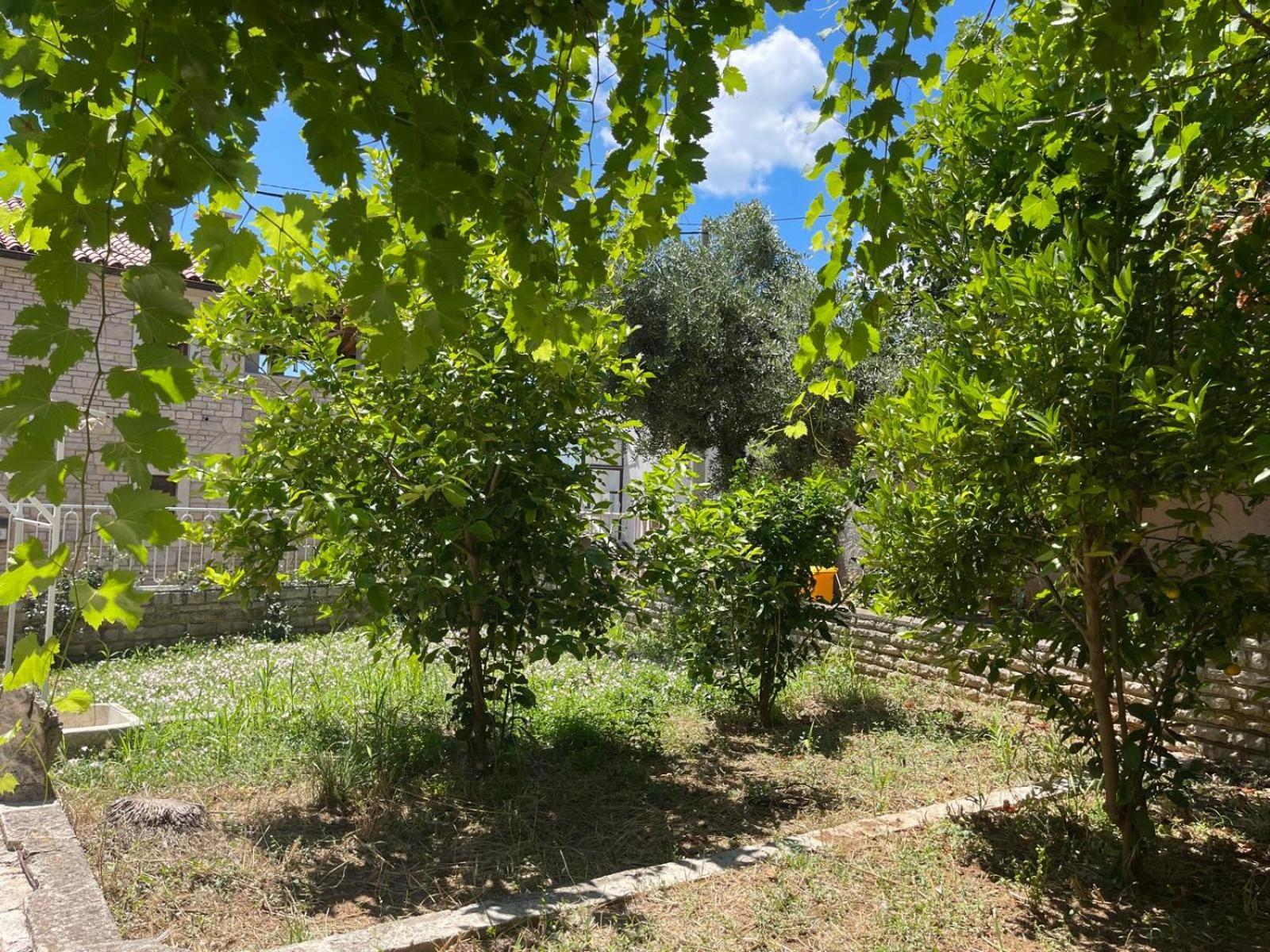 Villa Giulia Ližnjan Екстериор снимка